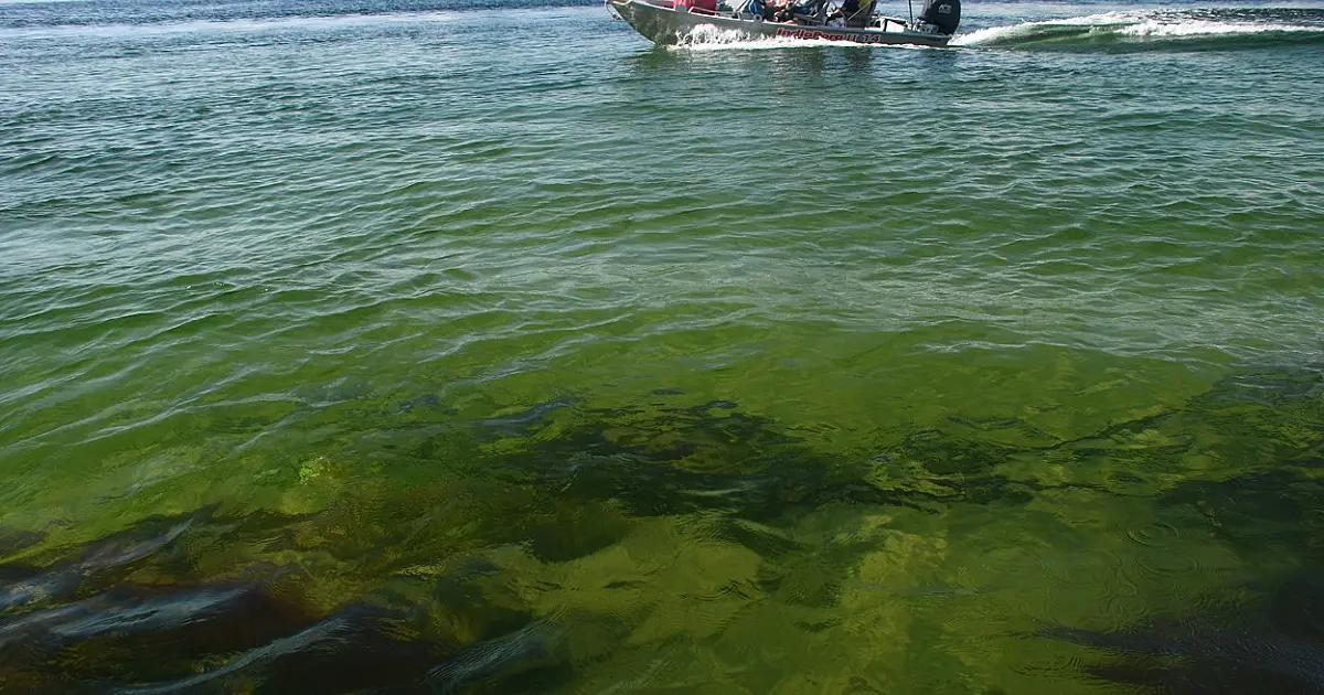 Seminário discute agregar valor no turismo responsável no Pantanal