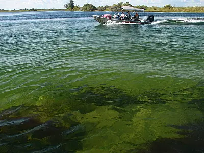Seminário discute agregar valor no turismo responsável no Pantanal