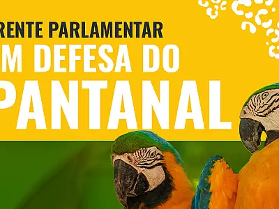 Frente Parlamentar em Defesa do Pantanal será lançada dia 02 de agosto