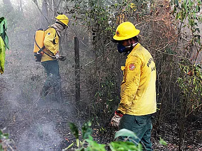 Governo federal repassa R$ 337 mi para combate a incêndios e desmatamento