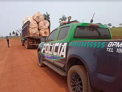 Caminhão é apreendido com mais de 1.300 embalagens de agrotóxicos transportadas irregularmente