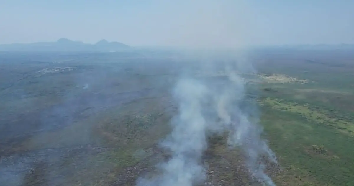 Bombeiros enfrentam três novos focos de incêndio no Pantanal em MS