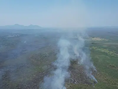 Bombeiros enfrentam três novos focos de incêndio no Pantanal em MS