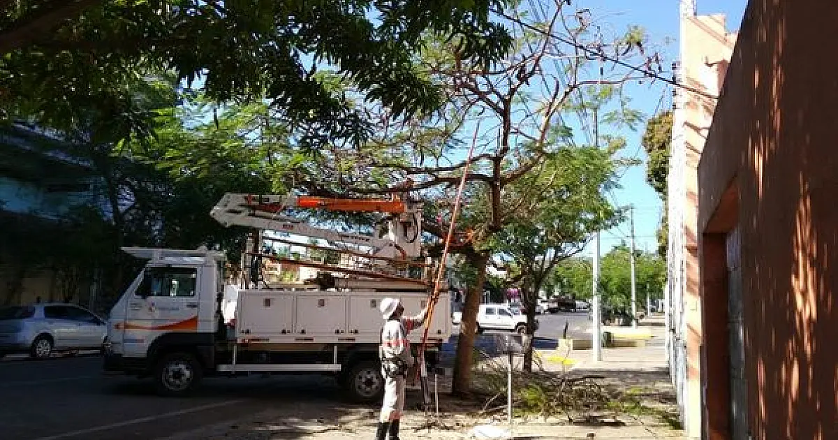 Matheus pede podas preventivas para evitar problemas na rede elétrica da cidade