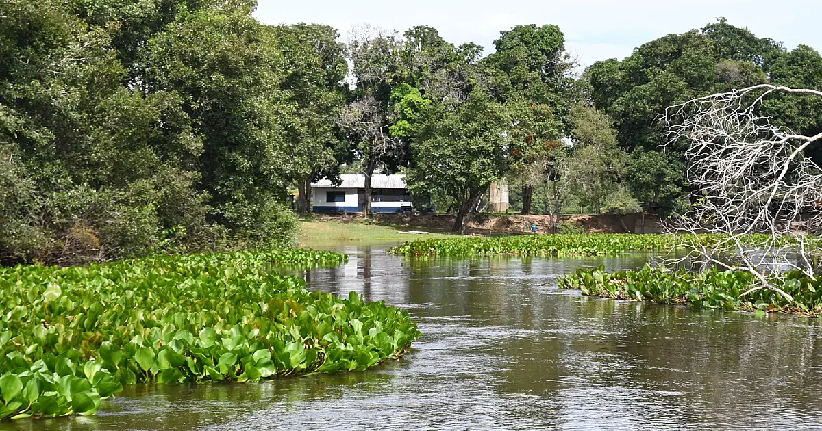 Nível do rio Paraguai melhora no comparativo com 2024, mas ainda há pontos de estiagem