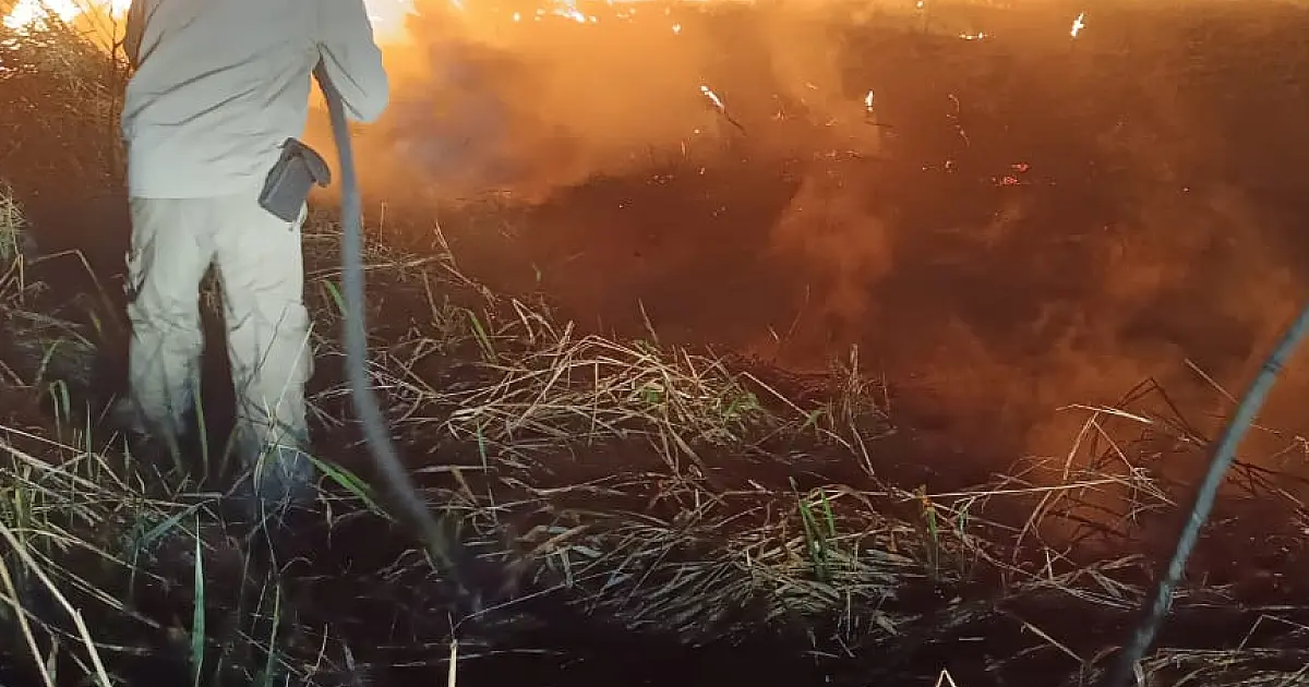 Incêndio próximo ao Posto Lampião Aceso destruiu 20 mil metros de vegetação