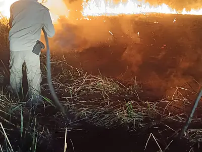 Incêndio próximo ao Posto Lampião Aceso destruiu 20 mil metros de vegetação