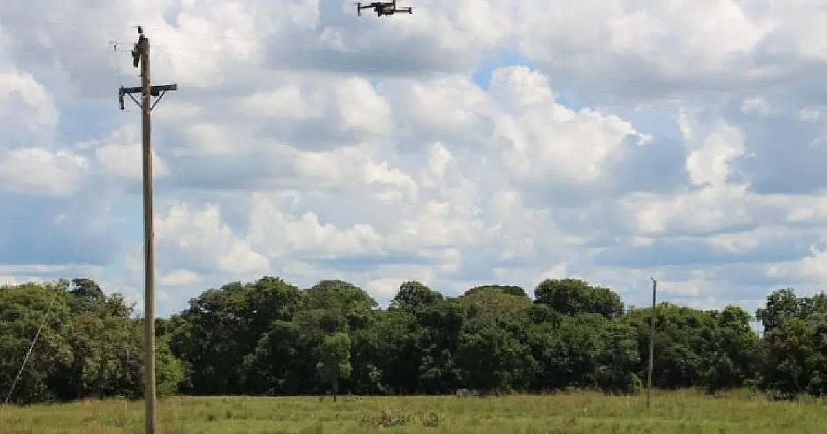 Inspeção da rede rural de energia é intensificada para evitar incêndios no Pantanal