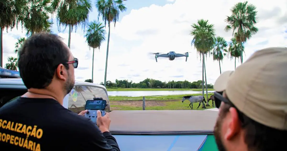 Ofensiva contra a gripe aviária utiliza drone para monitorar migração das aves na fronteira