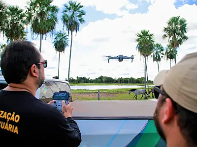Ofensiva contra a gripe aviária utiliza drone para monitorar migração das aves na fronteira