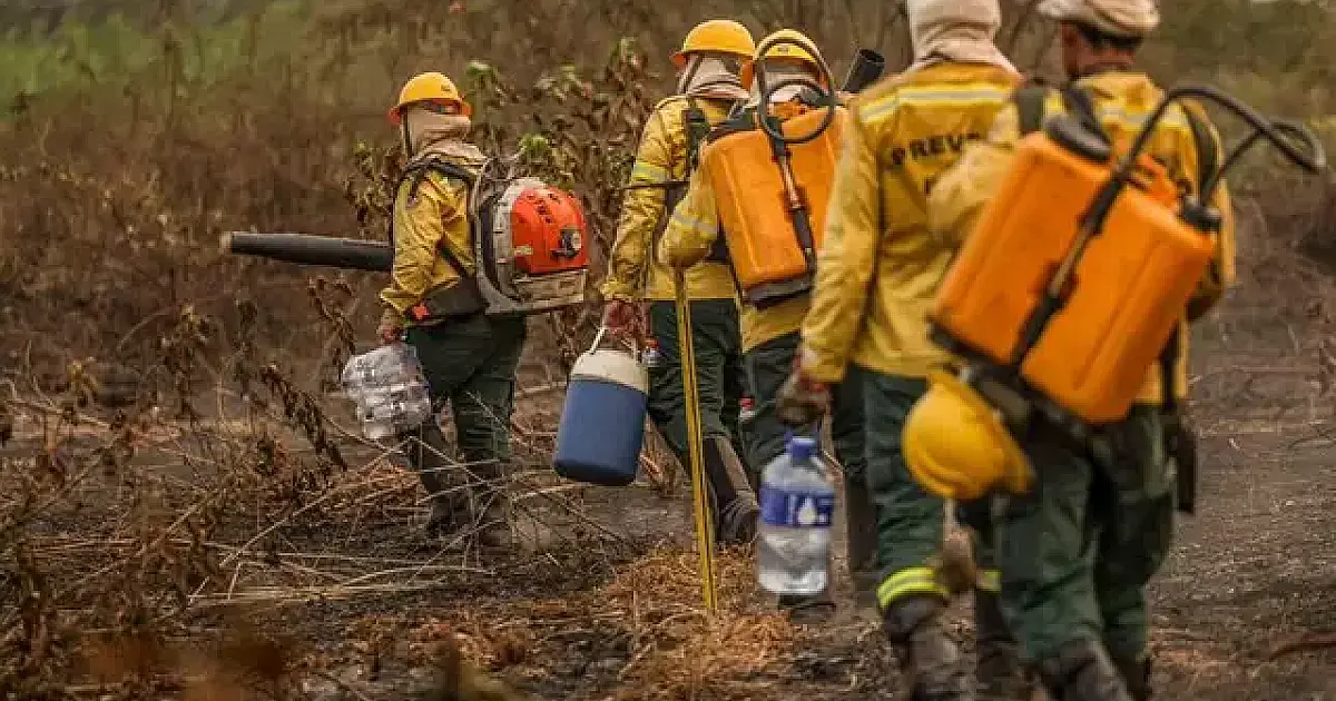 Ibama compra água mineral e loca banheiros para brigadistas que atuam em MS