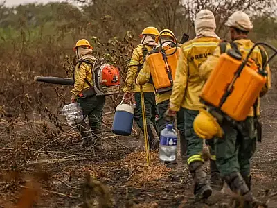 Ibama compra água mineral e loca banheiros para brigadistas que atuam em MS