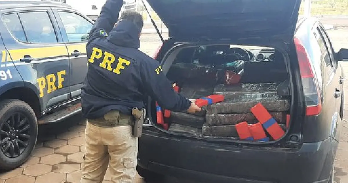 Mais de meia tonelada de maconha é apreendida em carro na BR 267