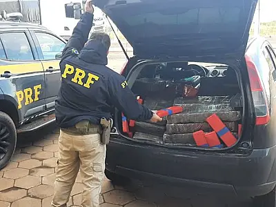 Mais de meia tonelada de maconha é apreendida em carro na BR 267