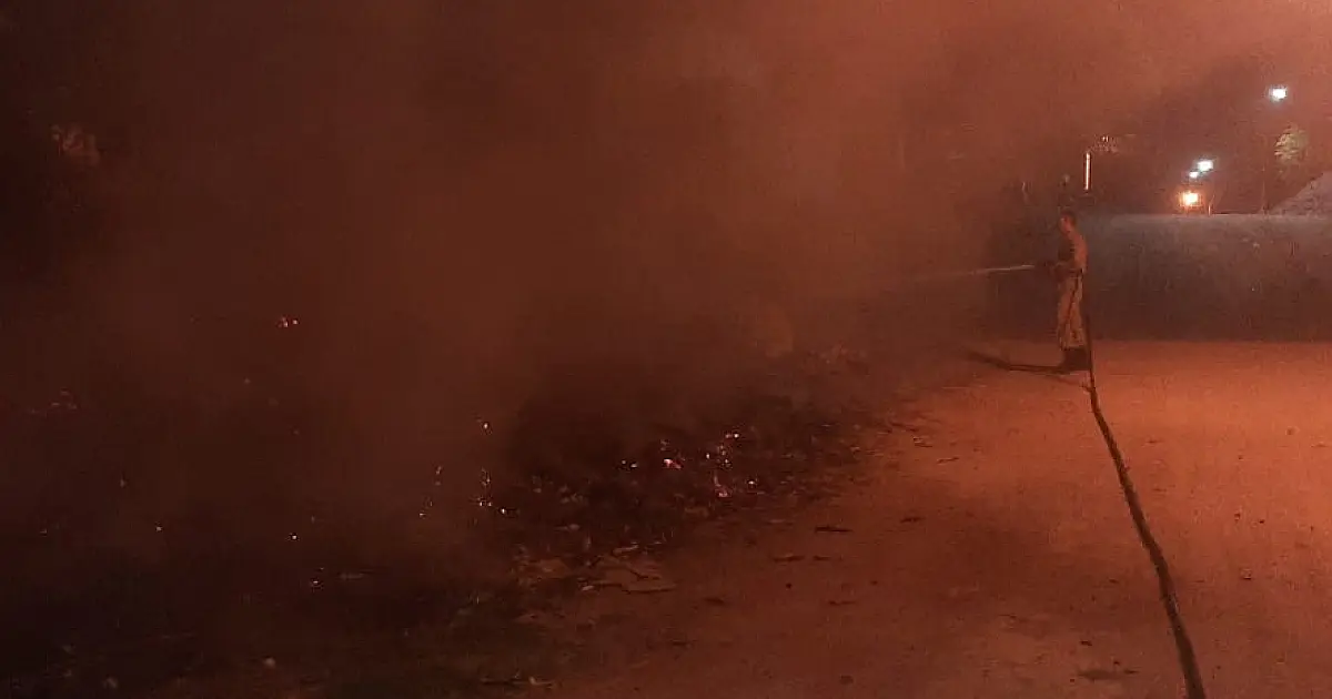 Bombeiros combatem três incêndios florestais nas últimas 24 horas