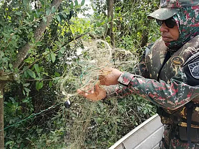 PMA inicia Operação Padroeira para impedir crimes e infrações ambientais