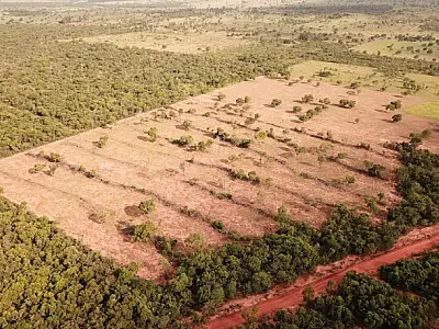 PMA aplica R$ 100 mil em multas durante fiscalizações na Operação Hórus