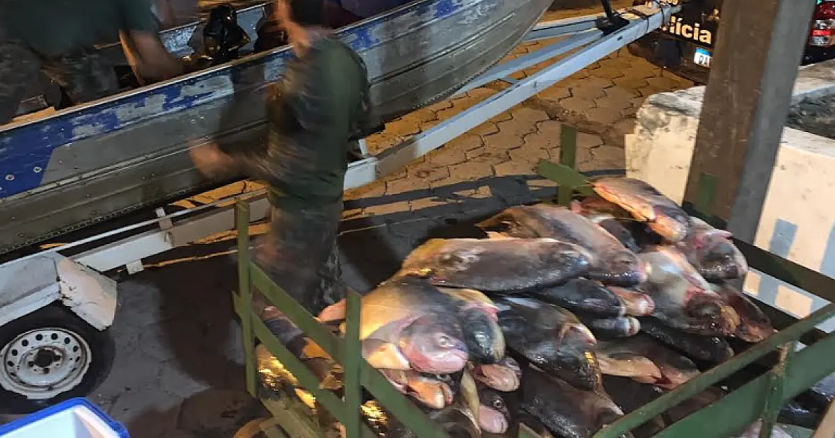 PMA apreende quase meia tonelada de pescado em três meses de piracema