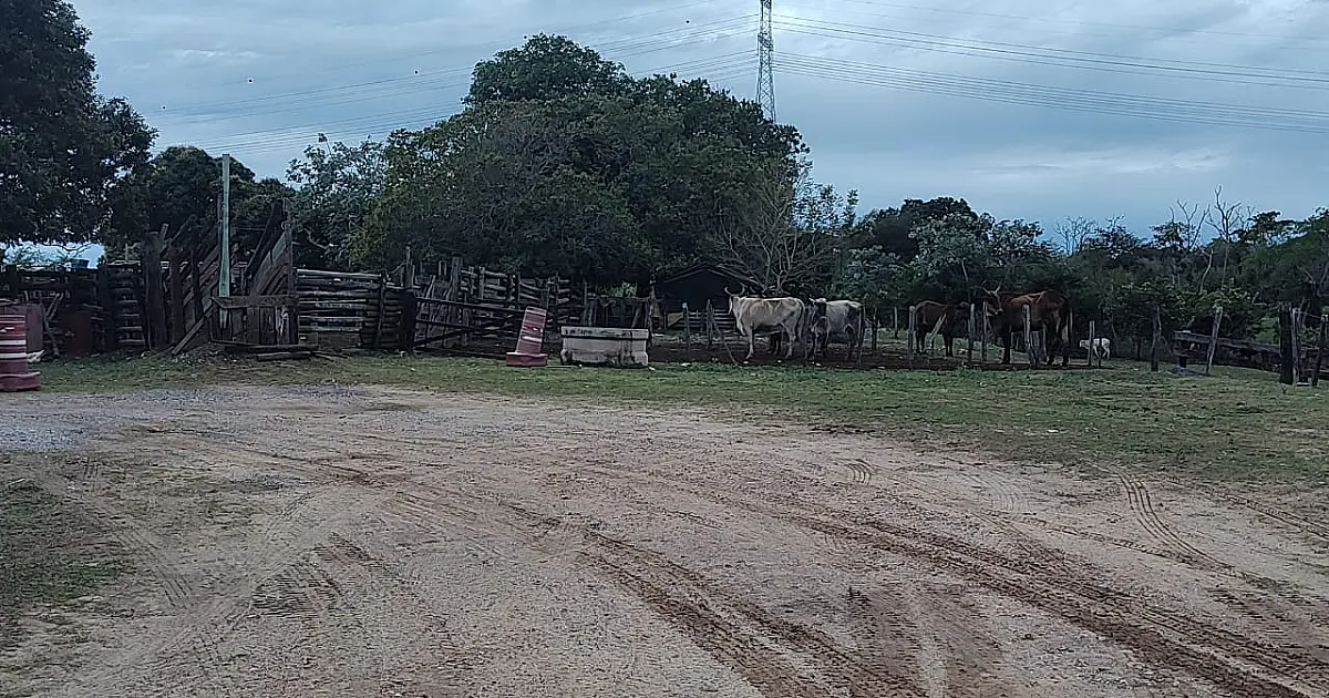 Sem ter para onde ir, família despejada pede apoio para desocupar fazenda em Porto Morrinho