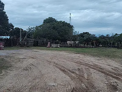 Sem ter para onde ir, família despejada pede apoio para desocupar fazenda em Porto Morrinho