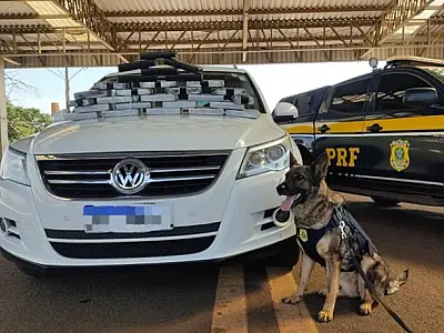 Motorista que seguia de Corumbá para Capital é flagrado com 28 kg de cocaína