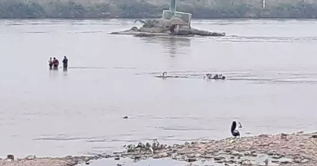Corumbaenses andam no rio Paraguai até o farol histórico antes coberto pela água
