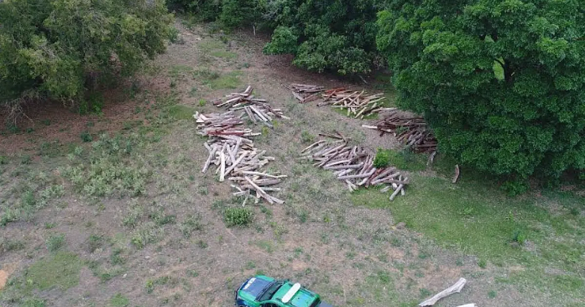 Proprietário rural é multado em R$ 36 mil por explorar vegetação nativa sem licença ambiental