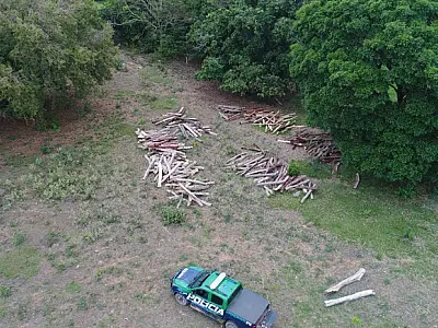Proprietário rural é multado em R$ 36 mil por explorar vegetação nativa sem licença ambiental
