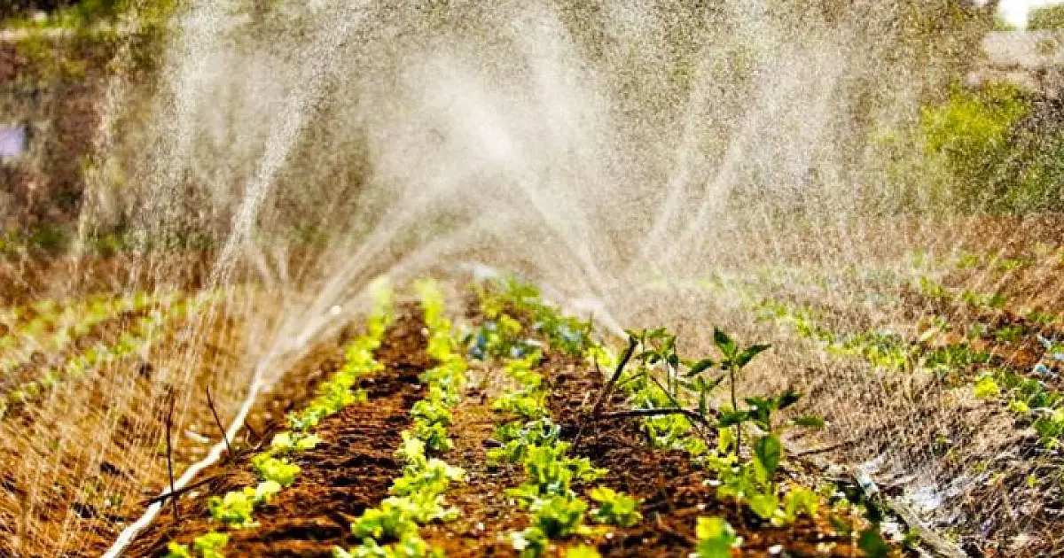 Edital de residência agrária abre 40 vagas para recém-formados