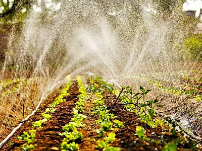 Edital de residência agrária abre 40 vagas para recém-formados