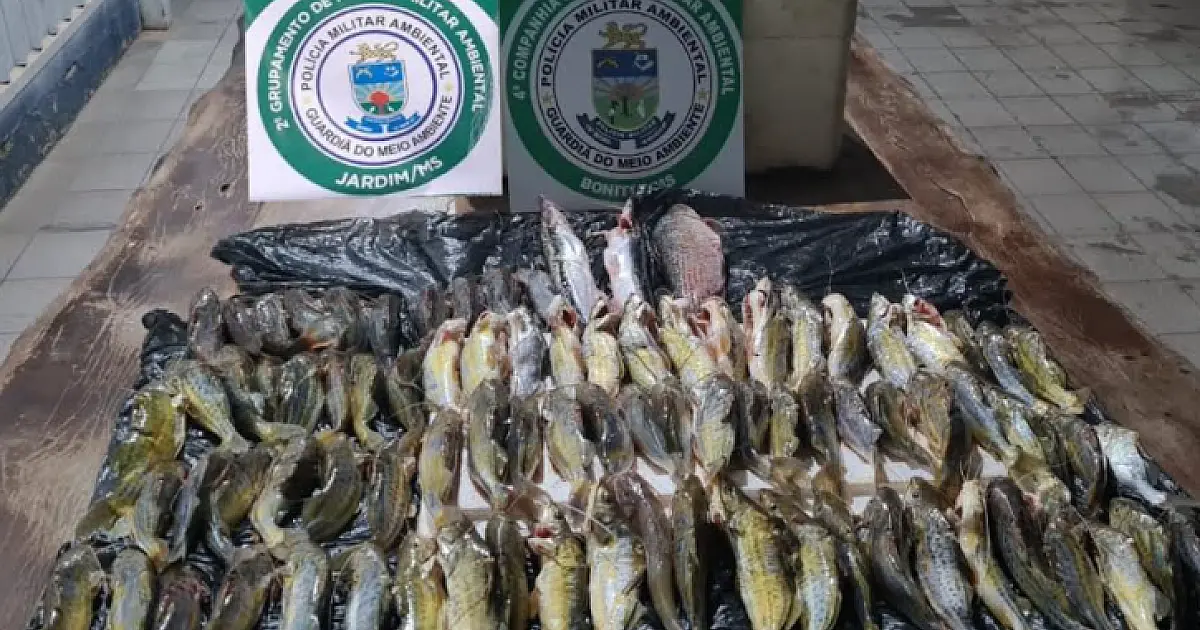 Dois turistas são multados em R$ 1,8 mil por pesca predatória no rio Miranda