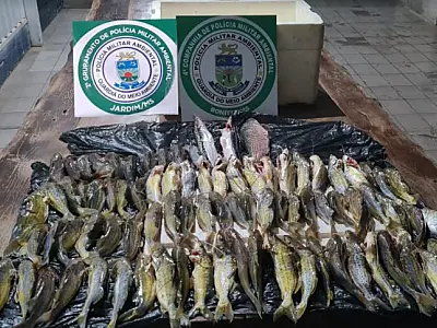 Dois turistas são multados em R$ 1,8 mil por pesca predatória no rio Miranda