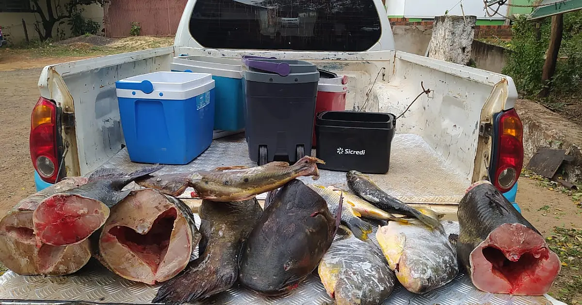 "Pesca Legal" aplica R$ 69 mil em multas nos dois primeiros meses da operação