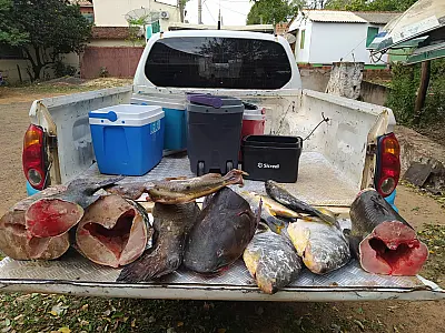 "Pesca Legal" aplica R$ 69 mil em multas nos dois primeiros meses da operação