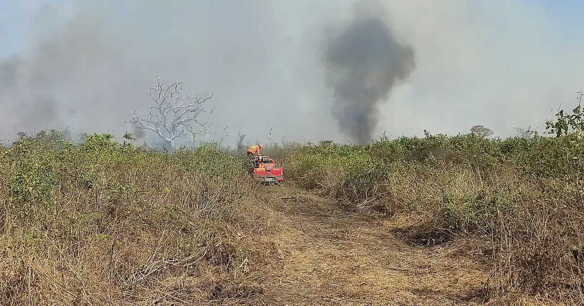 Inquéritos buscam reparação ambiental e responsabilização pelos incêndios em Corumbá