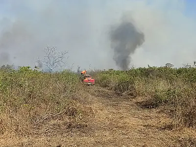 Inquéritos buscam reparação ambiental e responsabilização pelos incêndios em Corumbá