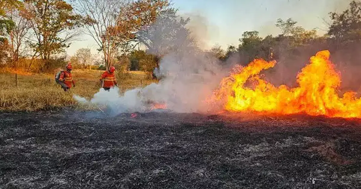 Estado vai testar produtos que serão usados no combate aos incêndios florestais