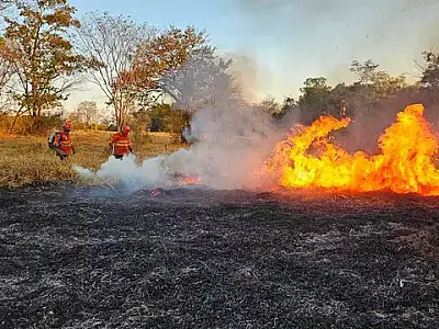 Estado vai testar produtos que serão usados no combate aos incêndios florestais