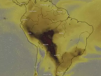 Fumaça gerada por incêndios da Amazônia e Pantanal afetam 10 estados brasileiros