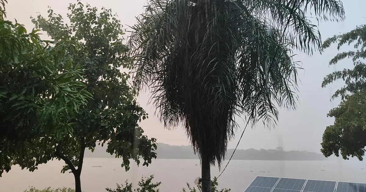 Chuvas não serão suficientes para recuperar o nível dos rios do Pantanal