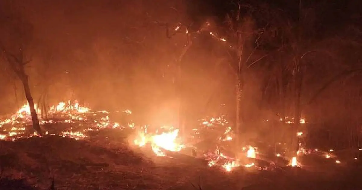 Incêndios continuam e seis aeronaves devem reforçar combate ao fogo no Pantanal