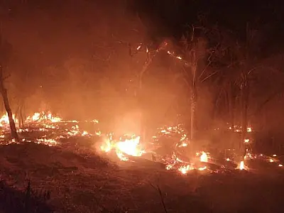 Incêndios continuam e seis aeronaves devem reforçar combate ao fogo no Pantanal