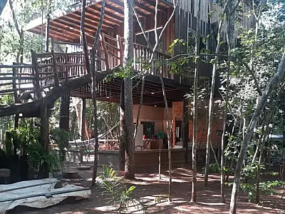 PMA flagra loteamento ilegal à margem do rio Miranda