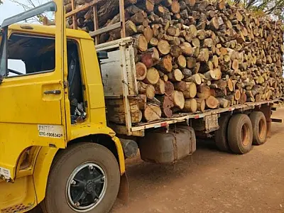 Caminhoneiro é autuado em R$ 9 mil por carregamento de madeira ilegal
