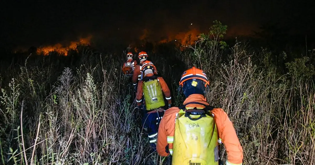 Governo de MS declara situação de emergência em cidades afetadas pelos incêndios florestais