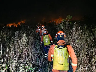 Governo de MS declara situação de emergência em cidades afetadas pelos incêndios florestais