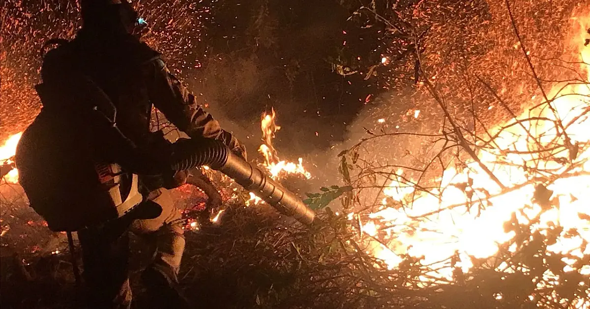 Bombeiros somam 80 atendimentos de combate a incêndios na Operação Pantanal 2022
