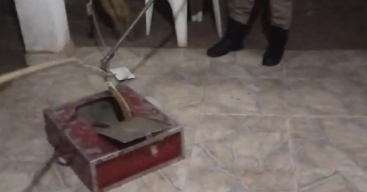 Cascavel é capturada em casa de Corumbá