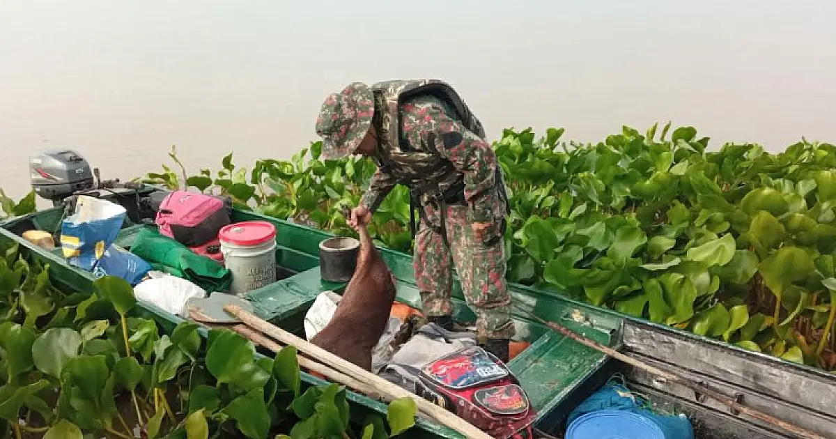 Paraguaios são flagrados com armas e capivaras abatidas na região do Nabileque