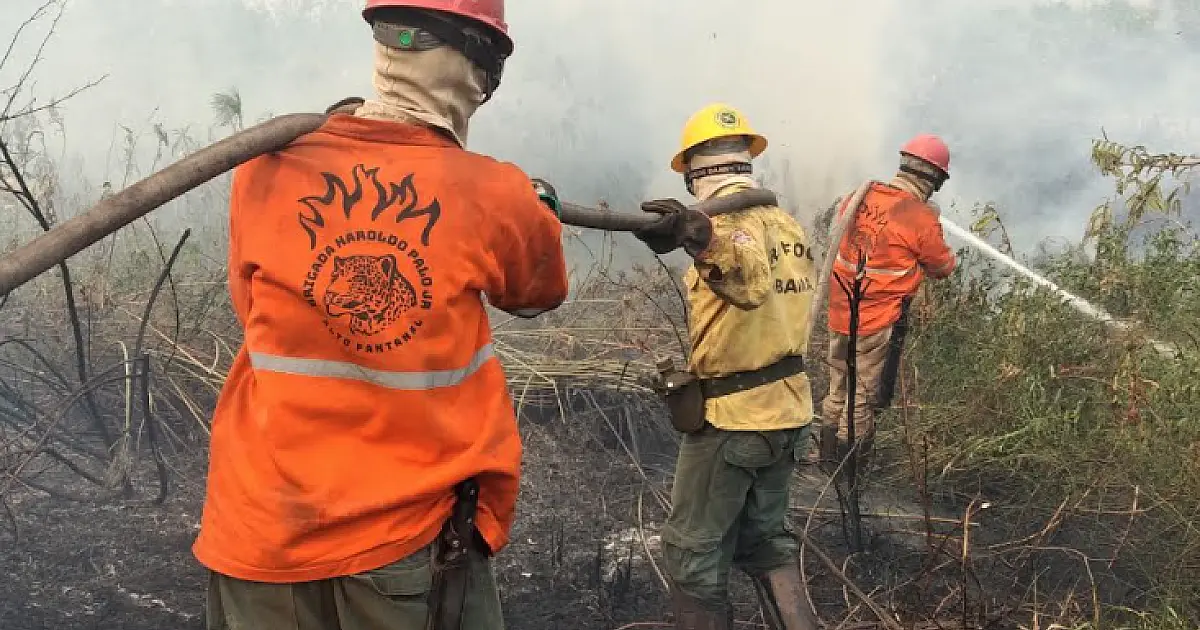 Nova campanha busca recursos para manter Brigada Alto Pantanal ativa